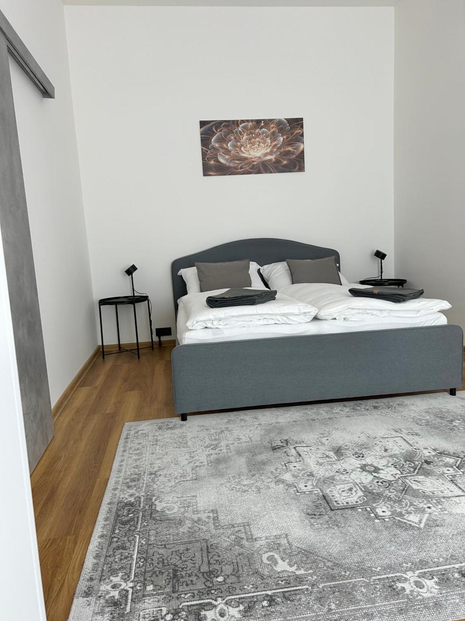 Apartment Dita Karlsbad Exterior foto